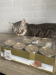 Упаковка влажного корма для кошек Purina Gourmet Gold Паштет с тунцом 24 шт по 85 г фото от покупателей 18