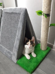 Когтеточка Lucky Pet домик сизалевый Бивак, Серый, 50х33х46см фото от покупателей 1