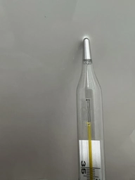 Термометр медичний Gamma Thermo Eco скляний рідинний без ртуті (6948647010508)