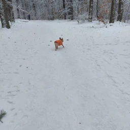 Жилет Pet Fashion E.Vest для собак фіолетовий SМ фото від покупців 5