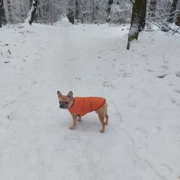Жилет Pet Fashion E.Vest для собак фіолетовий SМ фото від покупців 3