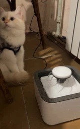 Поилка для животных Pet Water FOUNTAIN фото от покупателей 7