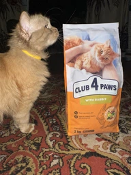 Сухий корм для котів CLUB 4 PAWS Клуб 4 лапи Premium With rabbit із кроликом 2 кг. фото от покупателей 19