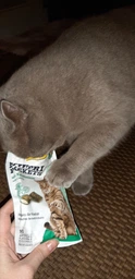 Снеки для котов Gimborn GimCat Nutri Pockets Кошачья мята + Мультивитамин 60 г (4002064419282) фото от покупателей 2