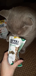 Снеки для котов Gimborn GimCat Nutri Pockets Кошачья мята + Мультивитамин 60 г (4002064419282) фото от покупателей 1