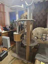 Високий котячий комплекс когтеточка з будиночком, гамак для кішок дрібних і середніх порід 190x80x60см бежево-коричневий фото від покупців 16