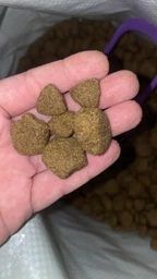 Сухий корм для дорослих собак великих порід Purina Dog Chow Adult Large Breed зі смаком індички 14 кг фото від покупців 7