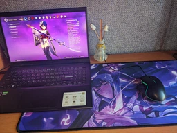 Игровая поверхность WorkPlaceShop Genshin Impact Райдэн Сёгун 500х1200 мм