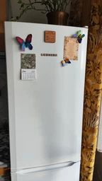 Холодильник Liebherr CU 3331 фото від покупців 2
