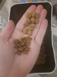 Сухой корм Royal Canin Gastrointestinal Low Fat Dog диетический для собак при расстройствах пищеварения 3кг фото от покупателей 5