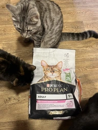 Сухой корм Purina Pro Plan Adult 1+ Delicate Digestion для кошек с чувствительным пищеварением с ягненком 3 кг фото от покупателей 2
