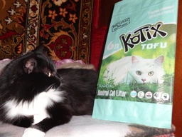 Наповнювач для котячого туалету Тофу класичний без запаху Kotix Tofu 6 л фото від покупців 8