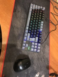 Клавіатура механічна дротова GamePro MK100R Red Switch TKL LED USB Black