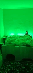 Світлодіодна стрічка Led-One Proseries 2835-120 IP20 6000K