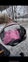 Сумка переноска mini Pet прозора для домашніх тварин (кішок, собак, кроликів і ін.) (Код: IBH010B)