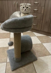 Кігтеточка для маленьких кошенят Мур-Мяу Котейка 30х30х54 см дряпка у джутовій мотузці Бежевий МТК фото від покупців 9