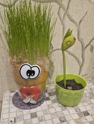 Травянчик Grass monsters head Веселая травка GMH-01...8