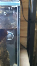 Акваріум Collar aGLASS Nano 27 л (0395) фото від покупців 5