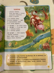 Віршики лепетушки-торохтушки. Учимо дитину розмовляти (9786175473573) фото от покупателей 6