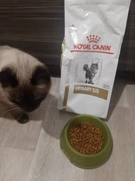 Сухой корм для котов Royal Canin Urinary S/O уринари 1.5 кг 39010151 фото от покупателей 14