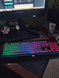 Клавиатура проводная Real-El 8000 Comfort Backlit USB (EL123100033) фото от покупателей 12