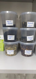Набор емкостей для морозилки TEA овальных Helsinki с прозрачной крышкой 0.8 л х 6 шт (5707300920261)