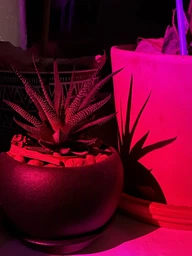 Светодиодная лампа для блогеров с проекцией заката / восхода Grant LED Sunset 16 цветов c пультом для селфи F-20 фото от покупателей 2