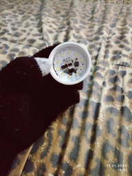 Лампа світлодіодна EUROLAMP ЕКО серія "D" 5W MR16 GU5.3 4000K 12V (LED-SMD-05534(12)(D)) фото від покупців 9