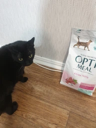 Сухой корм Optimeal для кошек со вкусом телятины 200г.(4820215360173) фото от покупателей 8