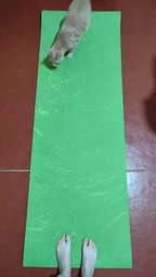 Професійний спортивний нековзний килимок каремат для йоги та фітнесу EasyFit PER Premium Mat EF-1930-1-B 183х61х0.8 см салатовий фото від покупців 15