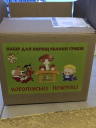 Бокс-набір для вирощування печериць королівські 3,6 кг фото от покупателей 1