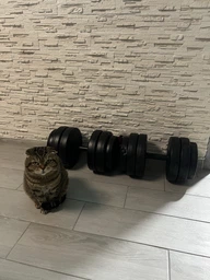 Гантели наборные Fit-On Chrome 2x26 кг фото от покупателей 10
