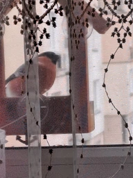 Кормушка для птиц на окно House_for_birds "Балкон" дерево фото от покупателей 2