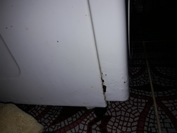 Стиральная машина с вертикальной загрузкой Whirlpool TDLR 65230 UA фото от покупателей 11
