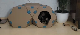 Модульный домик для кошек Collar TelePet 440х440х370 мм (9072Collar) фото от покупателей 12