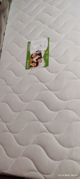 Матрац ортопедичний Dream Line Millenium Cocos/ Дрим Лайн Милениум Косос 80x190 см (130143)