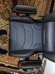 Ігрове крісло Cougar Hotrod фото від покупців 14