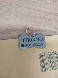 Адресник для Собак BronzeDog из Нержавеющей Стали Косточка Cеребристый 32*20 мм (90021) фото от покупателей 3