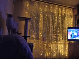 Світлодіодна Водонепроникна Гірлянда-Завіса Штора Sunnest 3*3м 300LED USB c Пультом для Прикрас Вікон та Тераси, теплий білий (SUN-300N)
