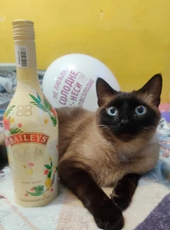 Лікер Baileys Colada 0.7 л 17% (5011013936021) фото від покупців 3
