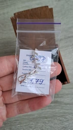 Срібні сережки у вигляді гілочки (АРТ. №6028) Dadiverin Jewelry