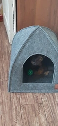 Палатка Lucky Pet Регги №2 40х40х42 см Серый (4820268553836) фото от покупателей 1