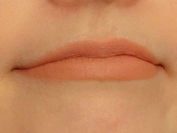 Набор помад Dragon Ranee Peony Matte Lipstick Set 4 шт фото от покупателей 4