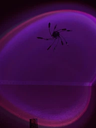 Проекційний світильник Sunset Lamp RGB 16 кольорів з пультом на штативі: USB проектор заходу сонця, атмосферна LED лампа фото от покупателей 10