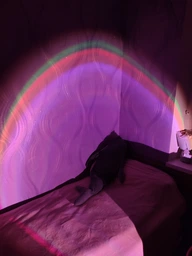 Проекційний світильник Sunset Lamp RGB 16 кольорів з пультом на штативі: USB проектор заходу сонця, атмосферна LED лампа фото от покупателей 7