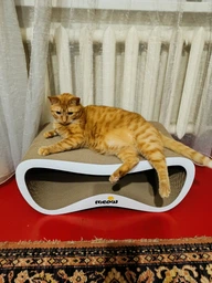 Кігтеточка-лежанка Say Meow Grace Max 67х27х35 см - бежевий фото від покупців 10