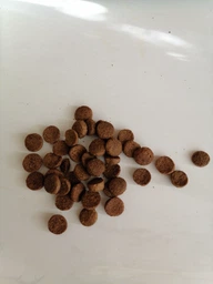 Carpathian Pet Food – Junior для цуценят всіх порід, віком від 1 місяця до 1 року 12кг фото від покупців 5