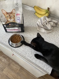 Сухий корм для стерилізованих котів Purina Pro Plan Sterilised Adult 1+ Savoury Duo Пуріна Проплан з качкою та печінкою 1,5 кг (7613036732369) фото от покупателей 6