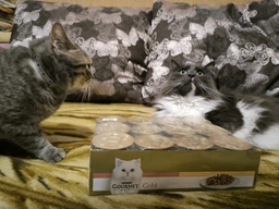 Вологий корм GOURMET Gold “Подвійне задоволення” для дорослих котів шматочки у підливці з качкою та індичкою 85 г фото від покупців 1