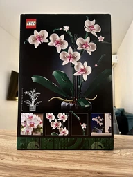 Конструктор LEGO Icons Орхидея (10311) [89184]